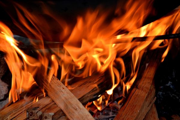 Ignited wood for cooking